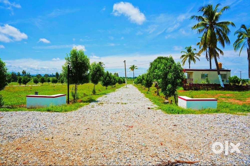 Approved Layout with Khata & Conversion Done