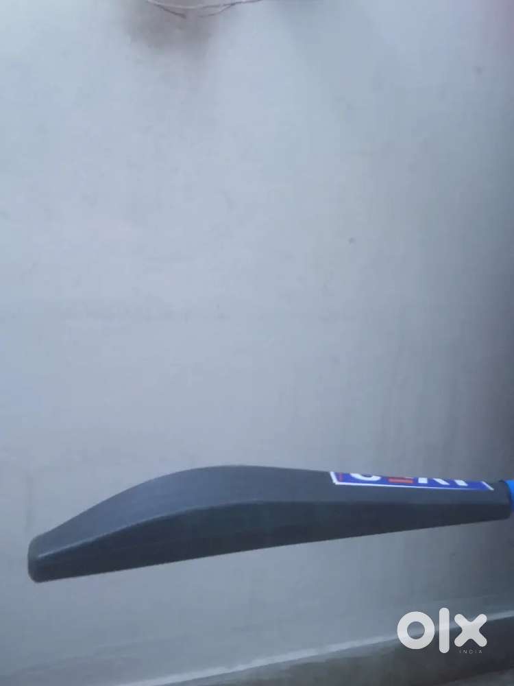 Hard ceat plastic bat