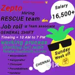 Zepto store, rescue team associate, Store work