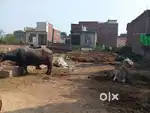 Arjent sell