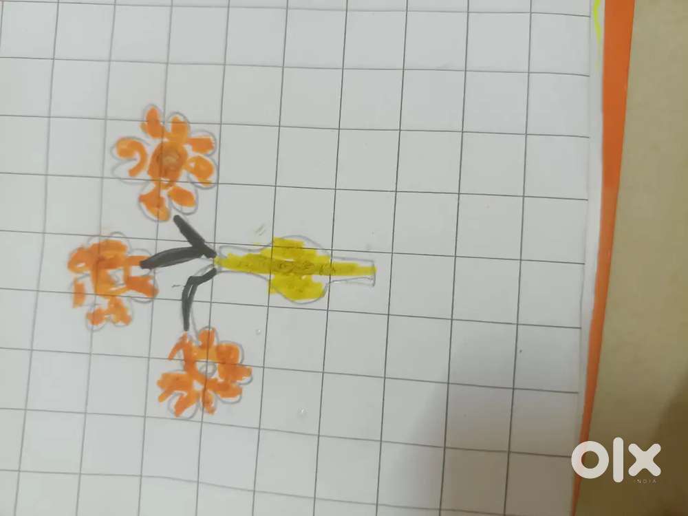 Iam a cook iam cook for both vegetarians and non vegetarians