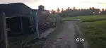 Agriculture Land