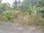 5 cent House Plot for sale