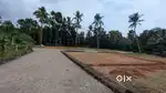 Villa plots For sale  Karukutty ,near Apollo hospital  loan 90%
