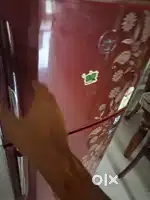Running fridge on sell