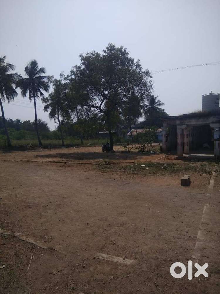 “Riverside Farm & Residential Plot Near Shiva Temple – For Sale Now!”
