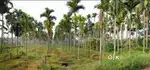 Landforsale