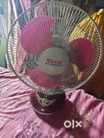 Rechargable rico fan