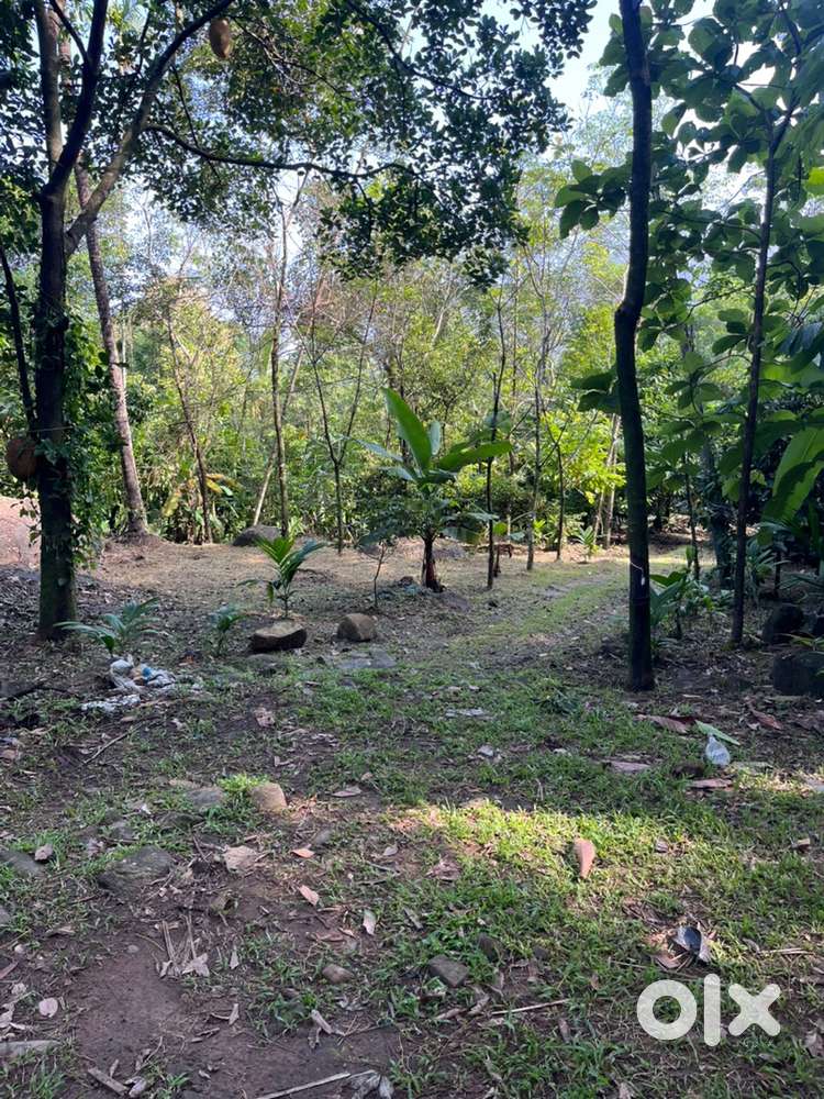 Land with Natural cave