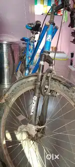 Avon cycle