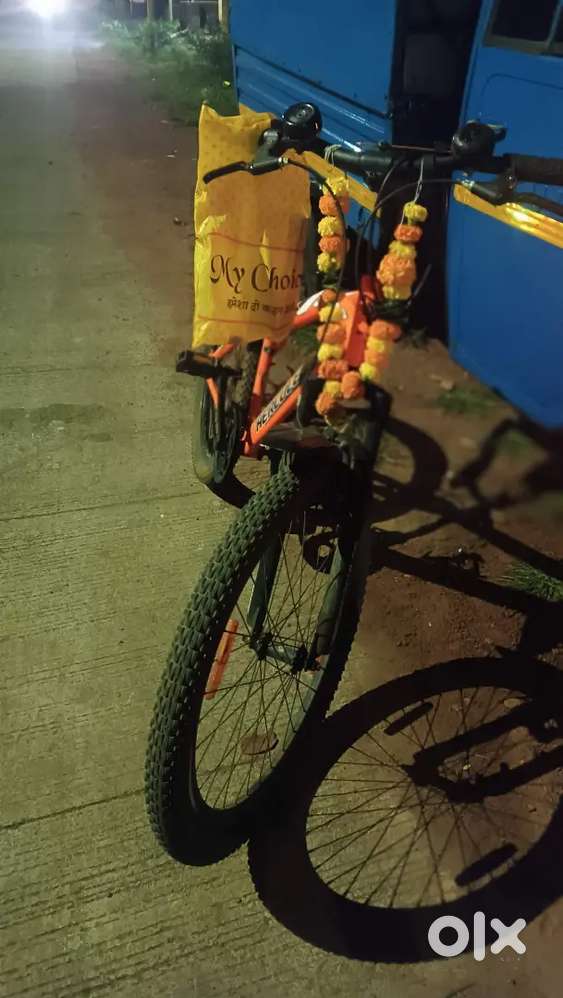 3महिना , हारकुल्यास