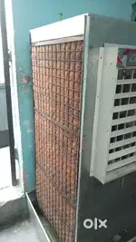 Aligarh Ak
