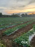 1 acre prime land, ideal - residential,farming & industry. Negotiable.