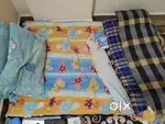 3 box gaddi with 2 pillow