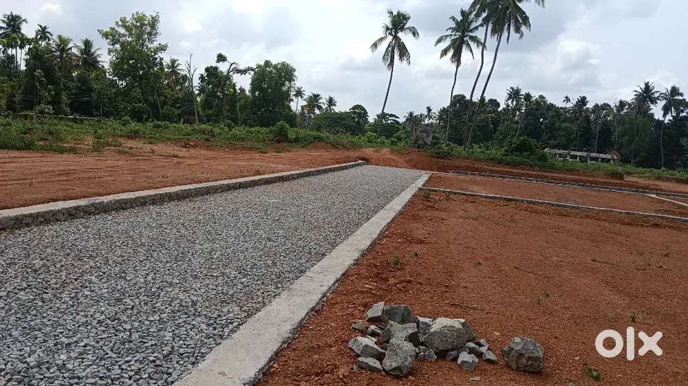 Angamaly appollo hospital near 4,5,6,8, 10 CENT PLOTS AVAILABLE