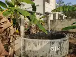 Land for sale 12 cents