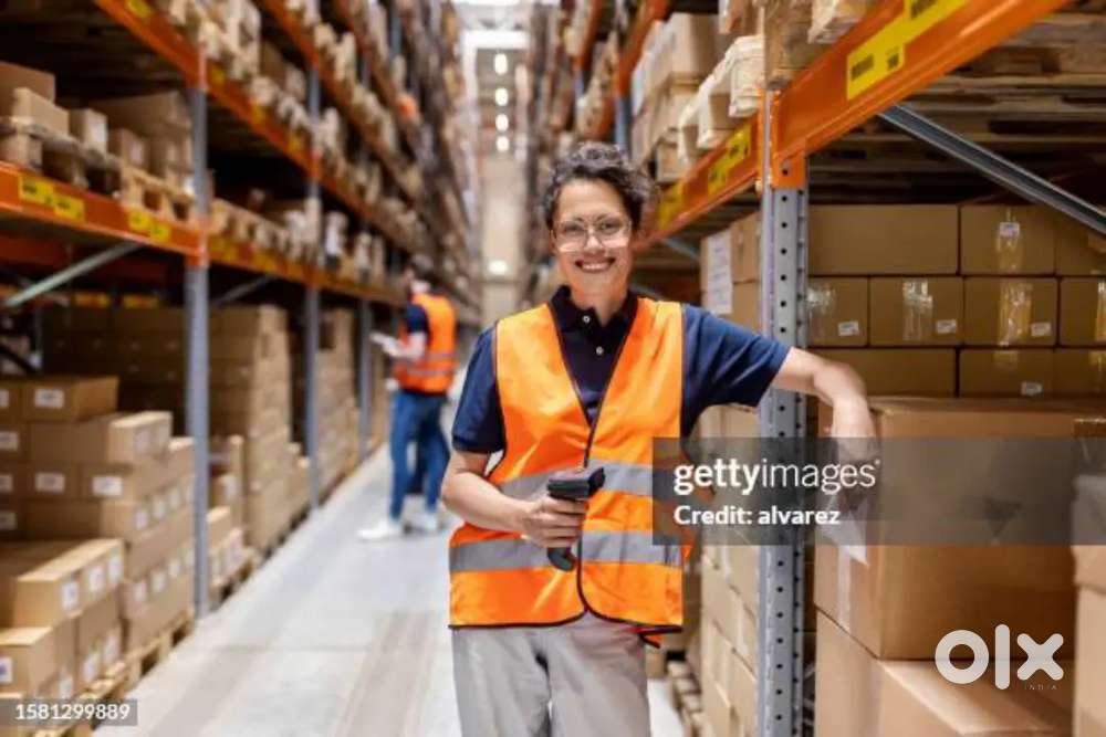 WE ARE GIVING A GOLDEN CHANCE FOR FRESHER JOB  WAREHOUSE COMPANY