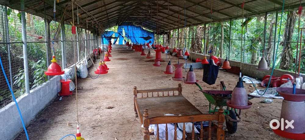 നെടുമങ്ങാട് 2.5 ഏക്കർ സ്ഥലം വില്പനക്ക്