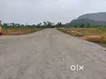 Raghu college backside mopada village