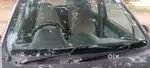 Maruti Suzuki Alto 800 2016 Petrol 62000 Km Driven