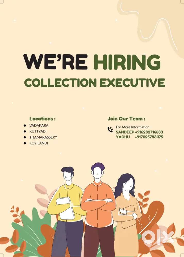 Collection Executive