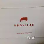 Milke delivery  timeing morning