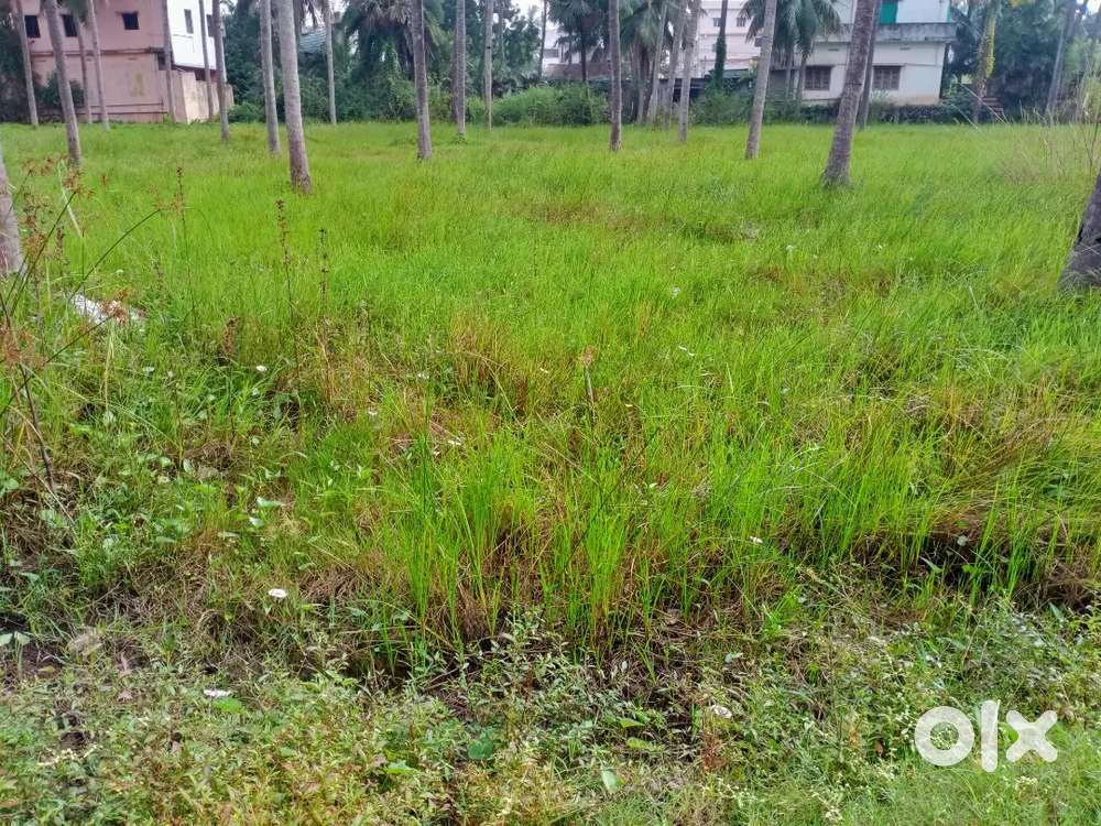 4 cents plot area for sale