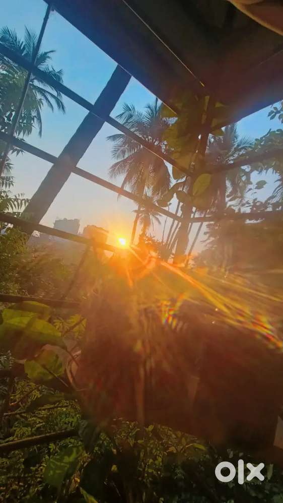 1 bhk flat in Nalasopara west