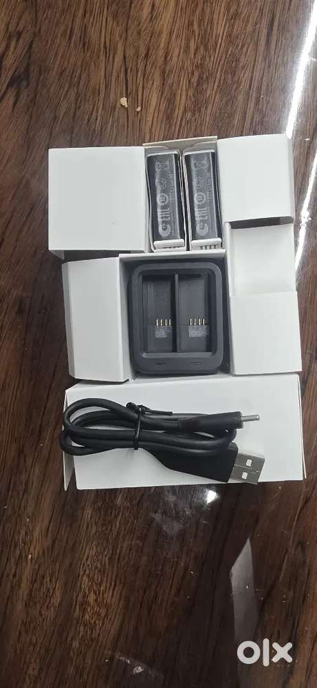 Go pro battery