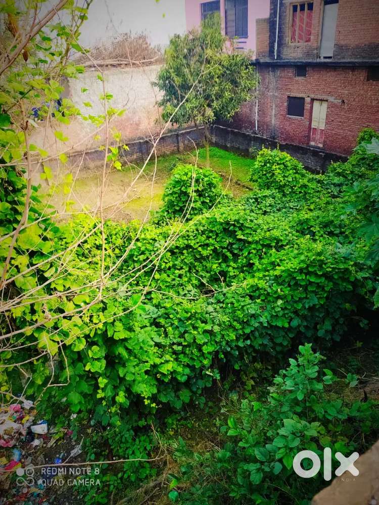 330 gaj , Mahlow near talab , square plot , both side road