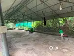 Shed/godown/ were house