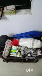 New cricket  kid
