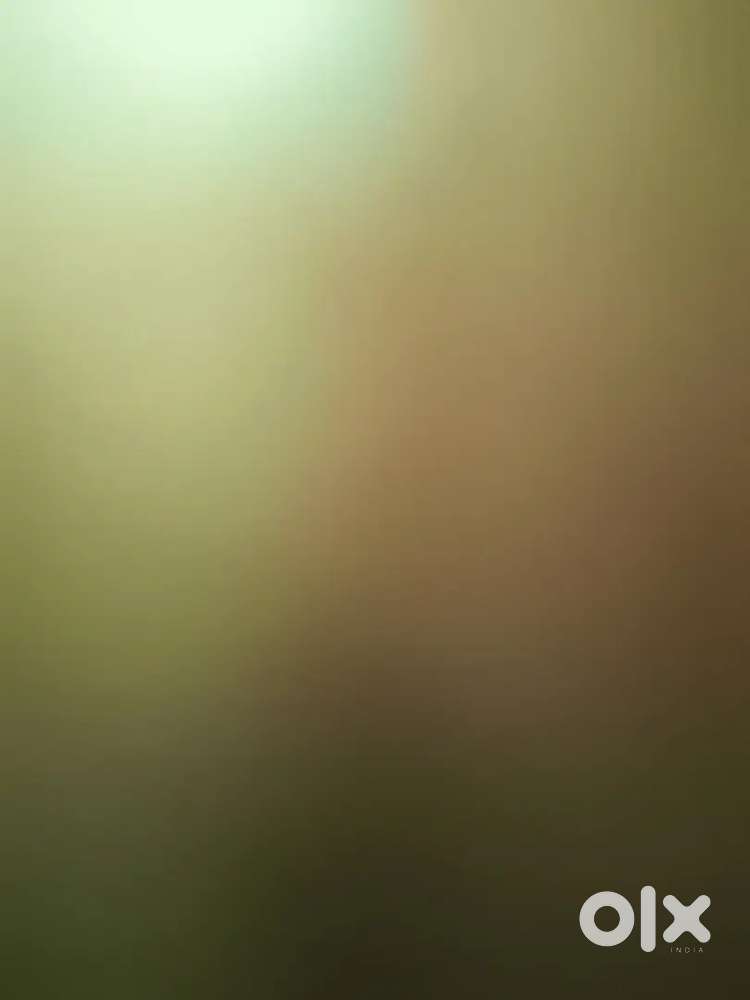 MIS REQUIRED at Telecrat India pvt ltd