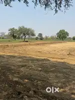 Eak acr zameen bechna hai urjent sukuldhyan