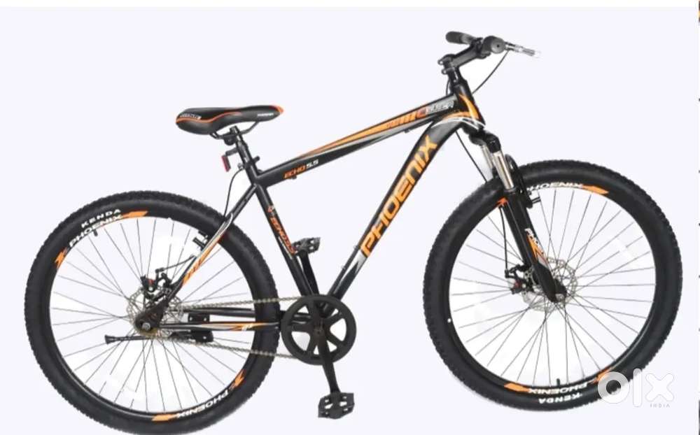 Phoenix cycle