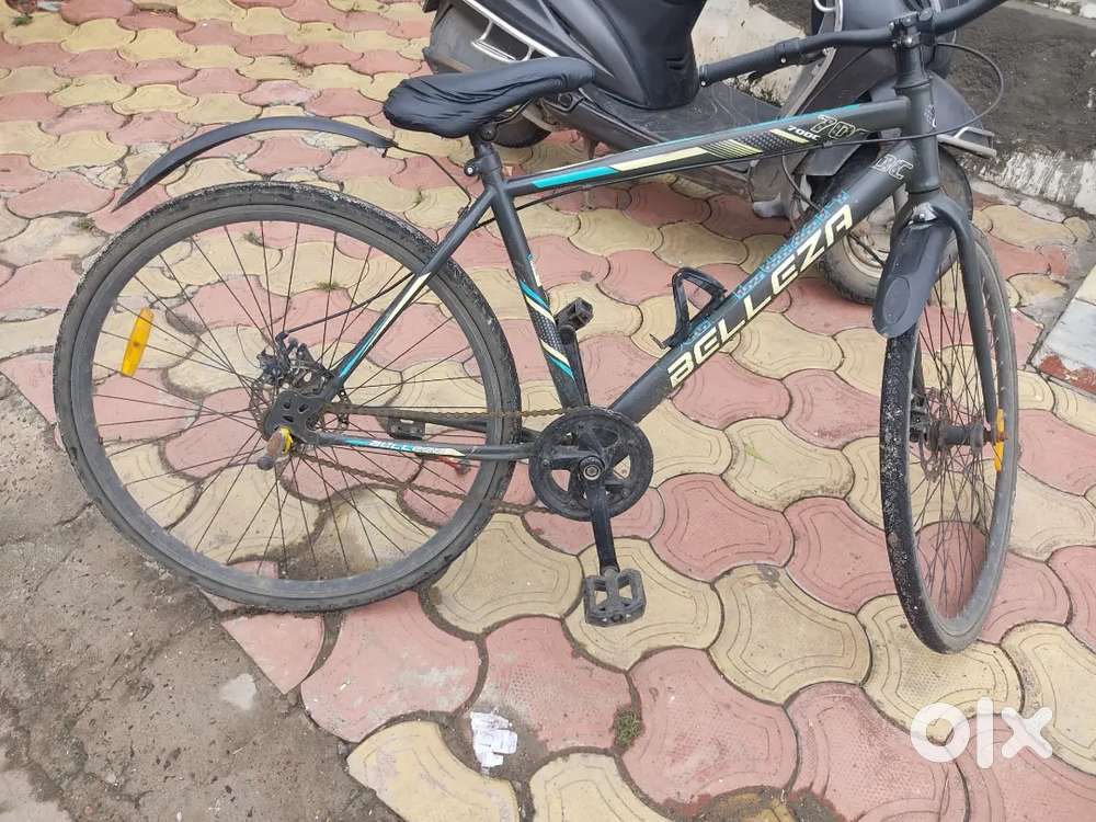 Belleza cycle