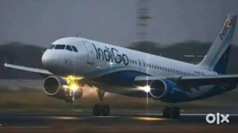 We are hiring best candidate for Indigo airline