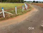 Land / Agricultural land