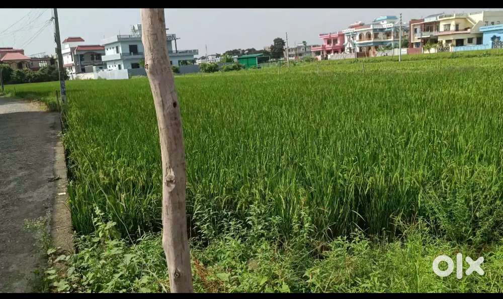 Plot for sale don Bosco school
