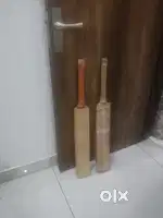 Kashmiri willow bat
