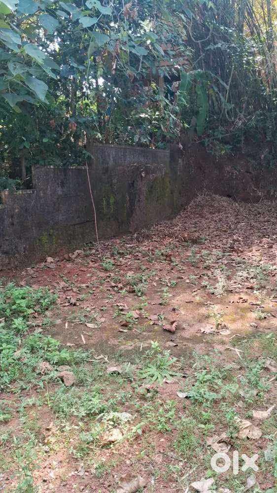 20 cents Comrce land 3 Cr  Bondel near