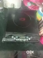 Pigeons brend ka induction ranning condition