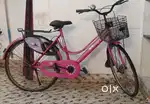 Atlas Beauty Cycle
