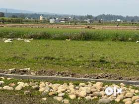Plots available for sale at Doiwala near SSB CAMP @14,000/gaj with 30ft and 25ft roads