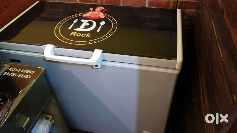 Elanpro deep fridge 305 Li