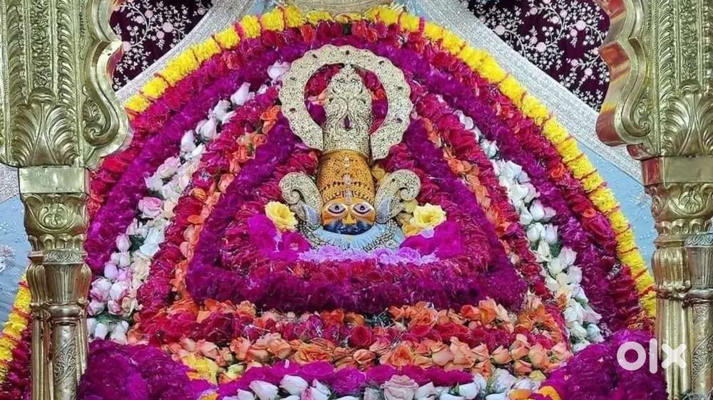 All work at jaipur Girl's Ladies