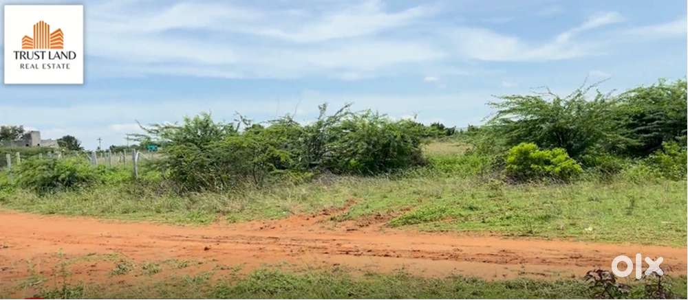 Sengipatti Near Plot For Sale !