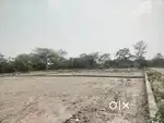 Best investment plot for sale