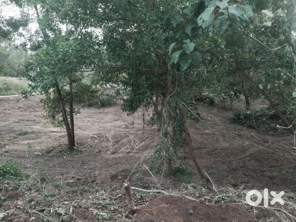 I want to sell my 1 acre land..it's from thalapady