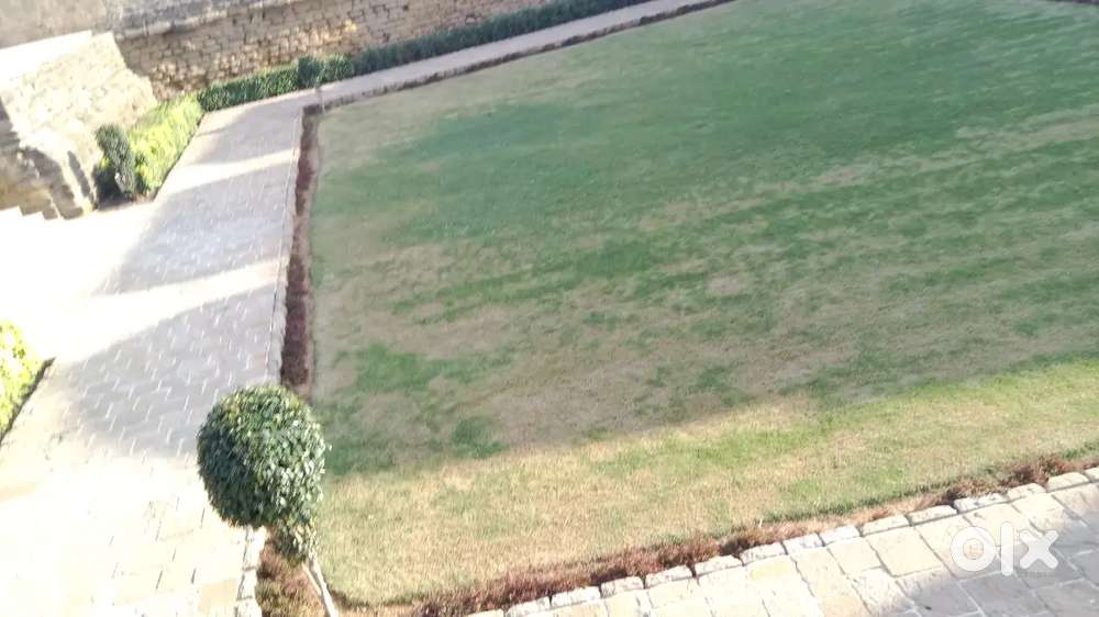 Sari kheti layak jamin mate mado